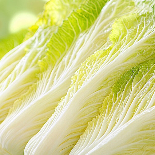 cr-kinai-kel-napa-cabbage-900×504