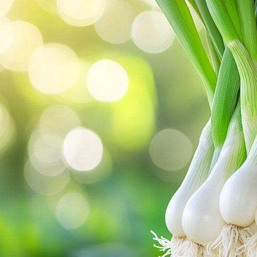 cr-csemegehagyma-900×504