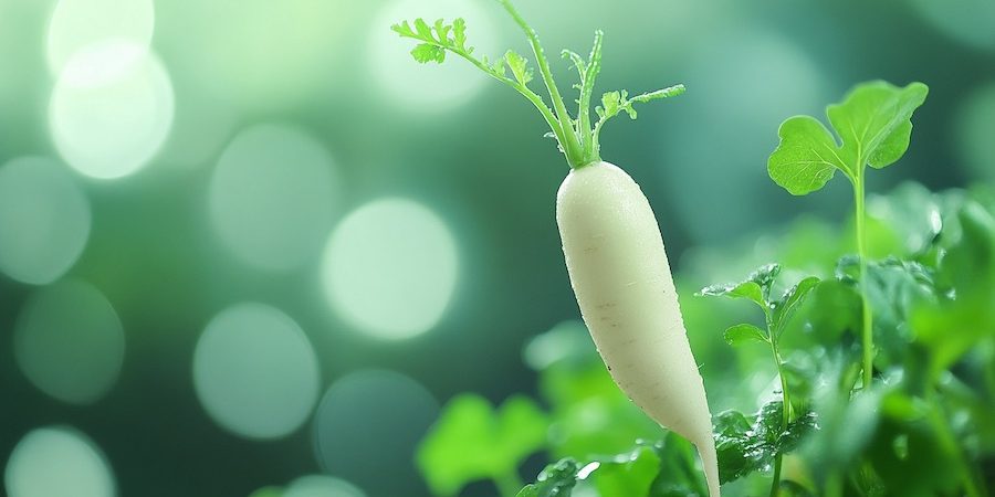 cr-jegcsapretek-900×504