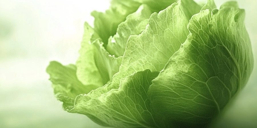 cr-jegsalata-900×504