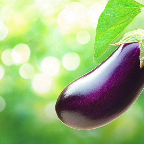 cr-padlizsan-900×504