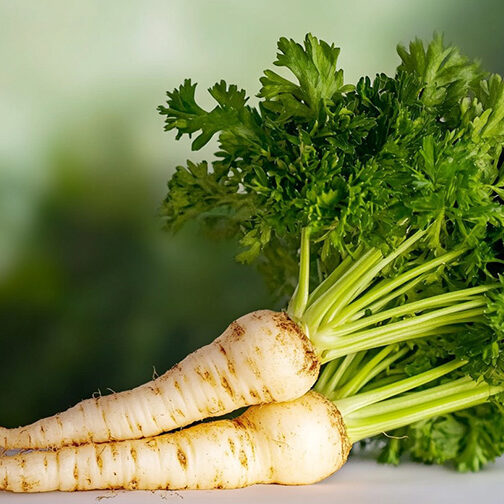 cr-petrezselyemgyoker-900×504