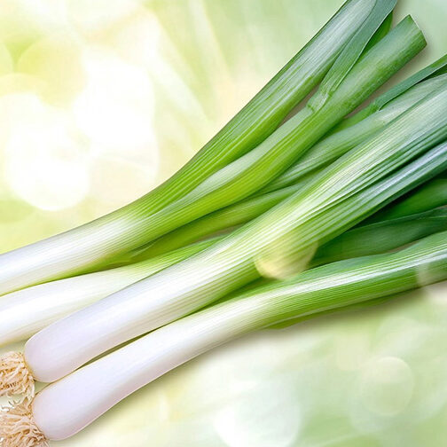 cr-porehagyma-900×504