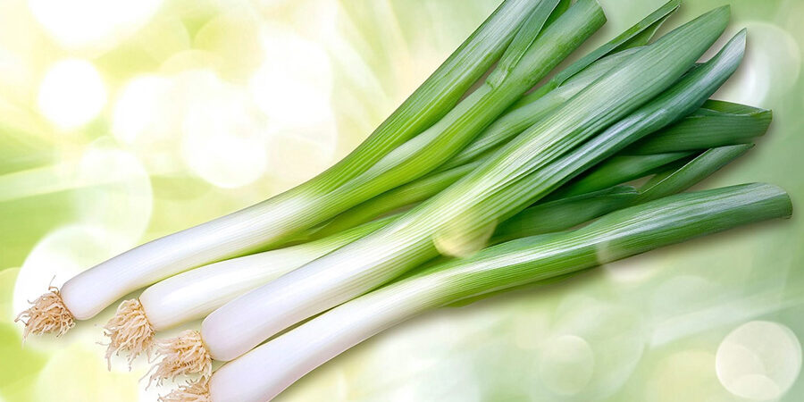 cr-porehagyma-900×504